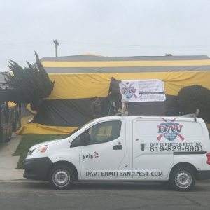 Photo of DAV Termite and Pest Control
