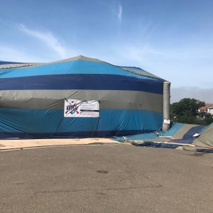 Photo of DAV Termite and Pest Control