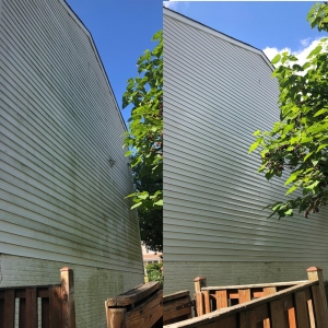 Photo of Pro Exterior Wash Plus