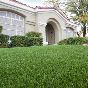 Photo of SYNLawn Southern Connecticut