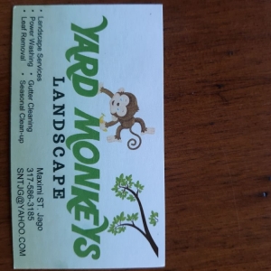 Greenfield Yard Monkeys