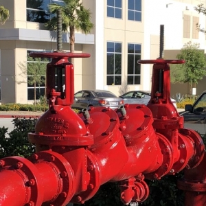 Photo of Next Level Fire & Safety