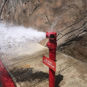 Photo of Next Level Fire & Safety