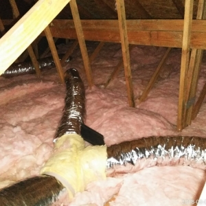 Photo of Attic Force