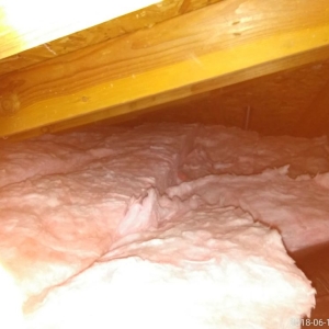 Photo of Attic Force