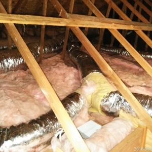Photo of Attic Force