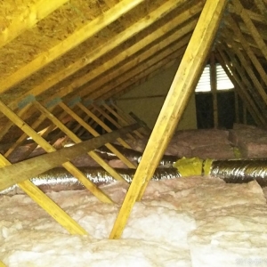 Photo of Attic Force