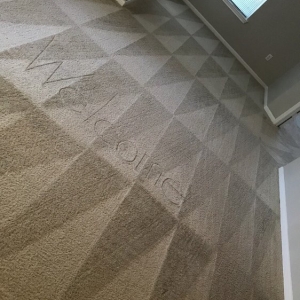Photo of Earthly Carpet Cleaning