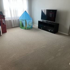 Photo of Earthly Carpet Cleaning
