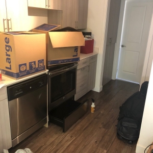 Photo of The Moving Company of Bellevue