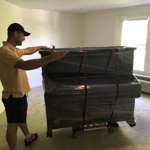 Photo of The Moving Company of Bellevue