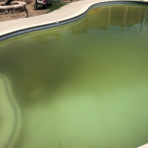 Photo of Bright Pool Pros
