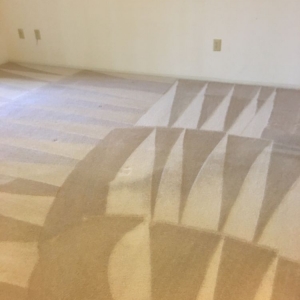 Photo of Oscars Complete Carpet Care