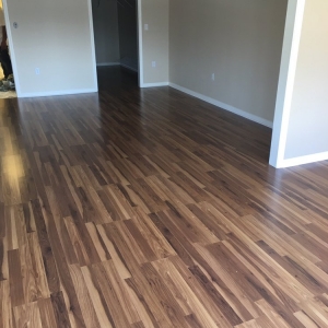 Photo of Oscars Complete Carpet Care