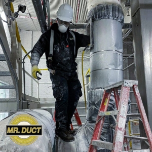 Photo of Mr. Duct