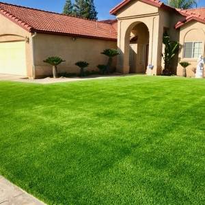 Photo of Go-Turf
