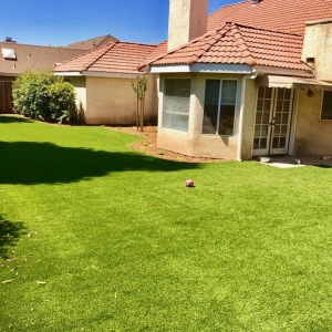 Photo of Go-Turf