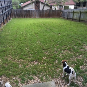 Photo of R & R Quality Lawn Care