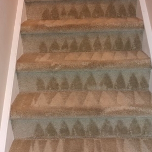 Photo of All-Round Cleaning Company