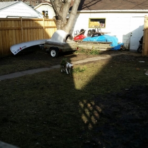 Photo of Alpine Fence Company