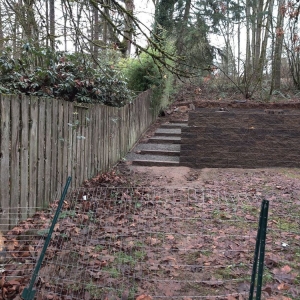 Photo of Fresh Roots Landscaping