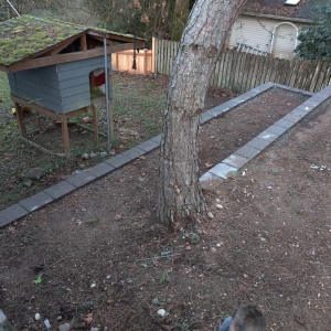 Photo of Fresh Roots Landscaping