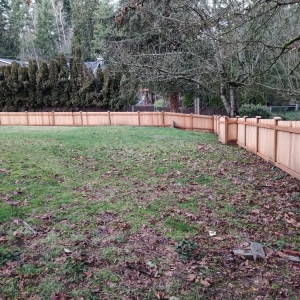 Photo of Fresh Roots Landscaping