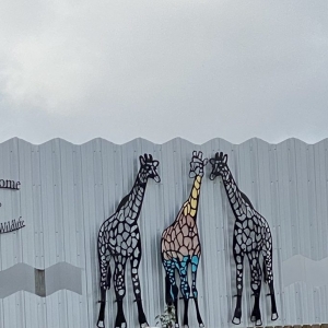 Photo of Global Wildlife Center