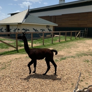 Photo of Global Wildlife Center