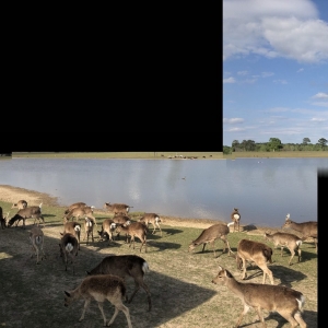 Photo of Global Wildlife Center