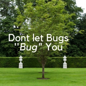Photo of Wildlife Pest Control