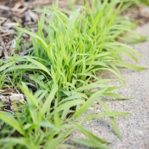 Photo of Wildlife Pest Control
