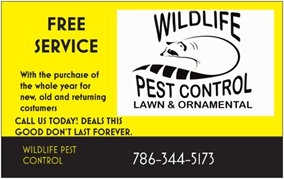 Photo of Wildlife Pest Control