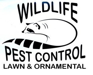 Photo of Wildlife Pest Control