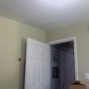 Photo of Purple Painters