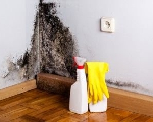 Photo of All Clear Environmental Services