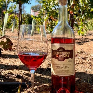 Photo of Bernardo Winery