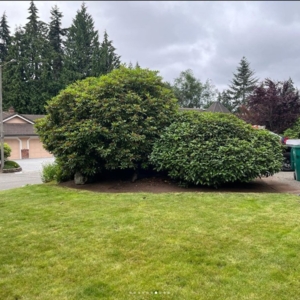 Photo of West Coast Garden's Lawn Care Service.