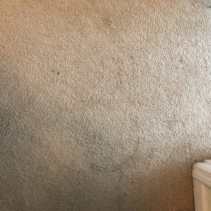 Photo of ServicePro Carpet Cleaning