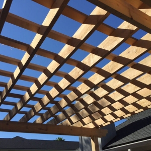 Photo of Paradise Construction