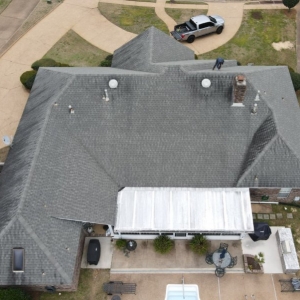 Photo of Atlas Tree Services