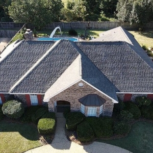 Photo of Atlas Tree Services