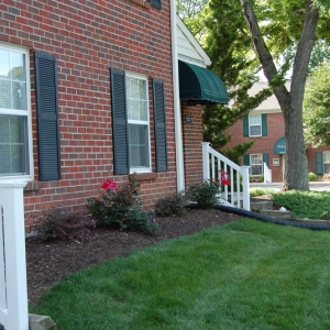 Photo of Colonial Pines