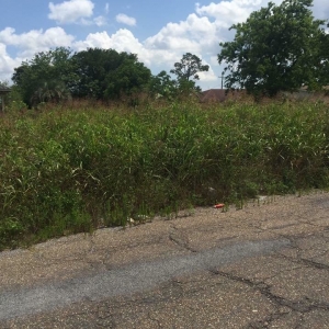 Photo of Over The Horizon Demolition Services