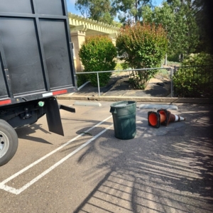 Photo of Angel Tree Care