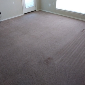 Photo of A and J Fresh Carpet Care & Services