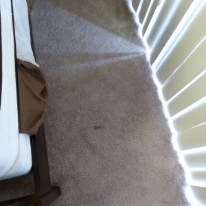 Photo of A and J Fresh Carpet Care & Services