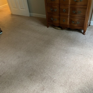 Photo of Toney's Floor Care