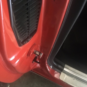 Photo of Insane Paint Auto Detailing
