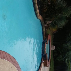 Photo of Worth it Pool Service and Repair
